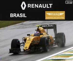 пазл Джолион Палмер Гран-при Бразилии 2016